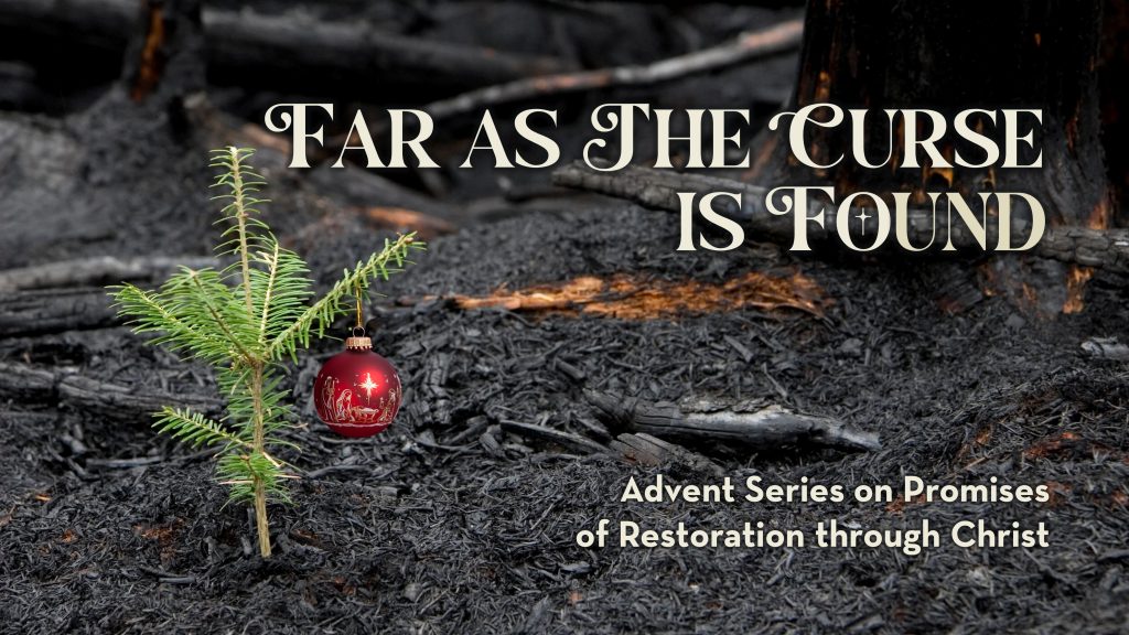 New Hearts, New Life, New Love