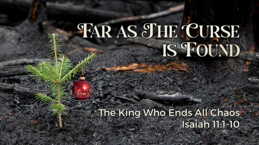 The King Who Ends All Chaos