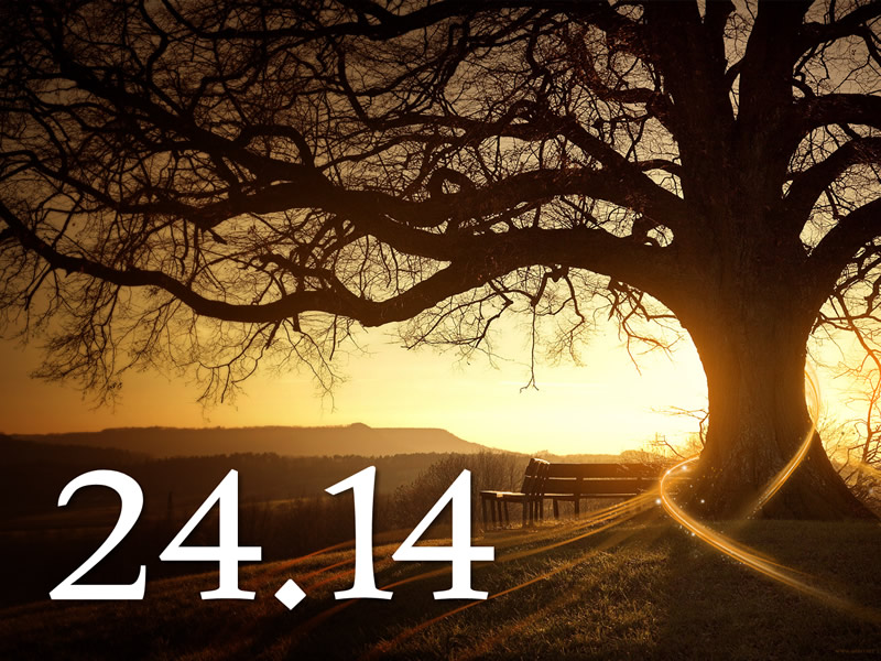 24.14: Community Development
