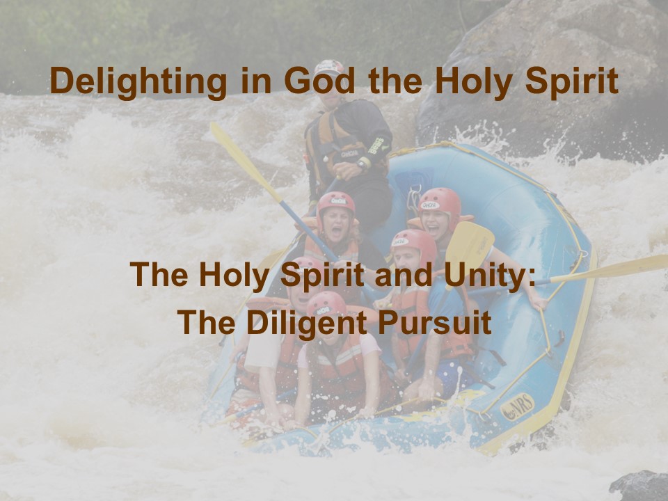 Delighting in God the Holy Spirit