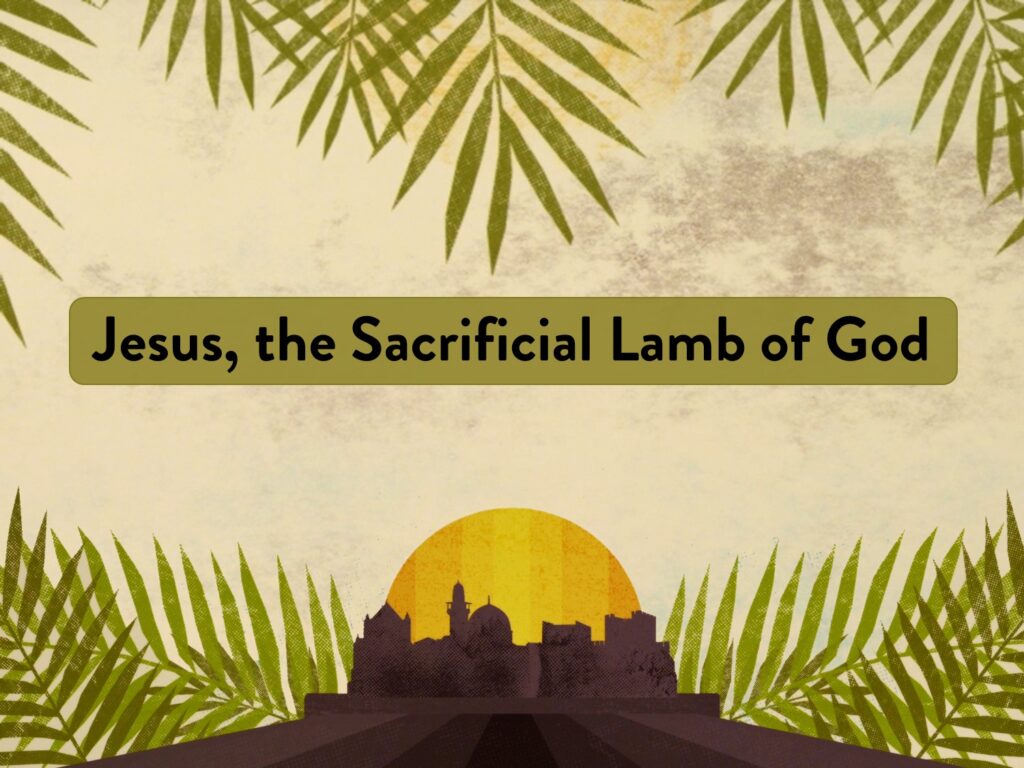 Jesus, the Sacrificial Lamb of God