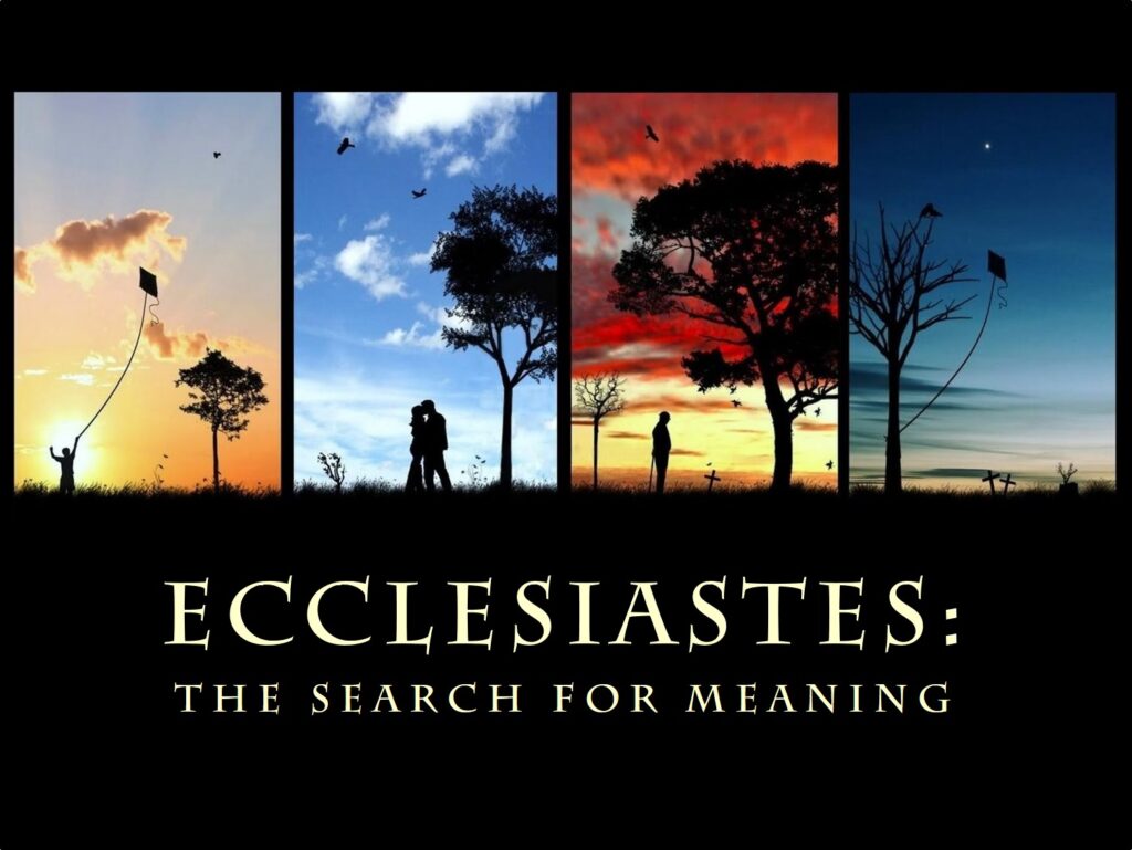 The Search for Meaning (Part 2)