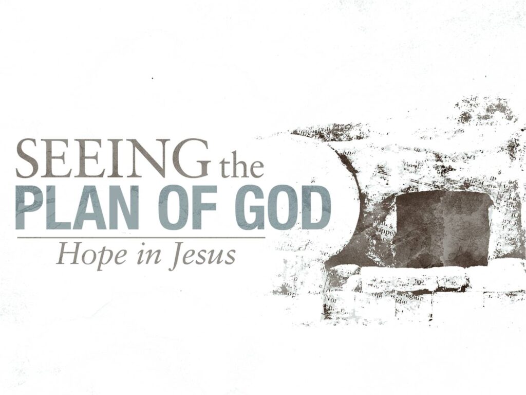 Seeing the Plan of God