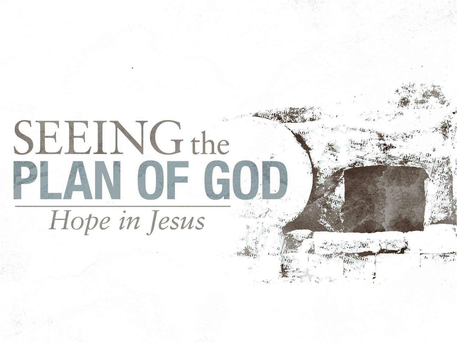 Seeing the Plan of God