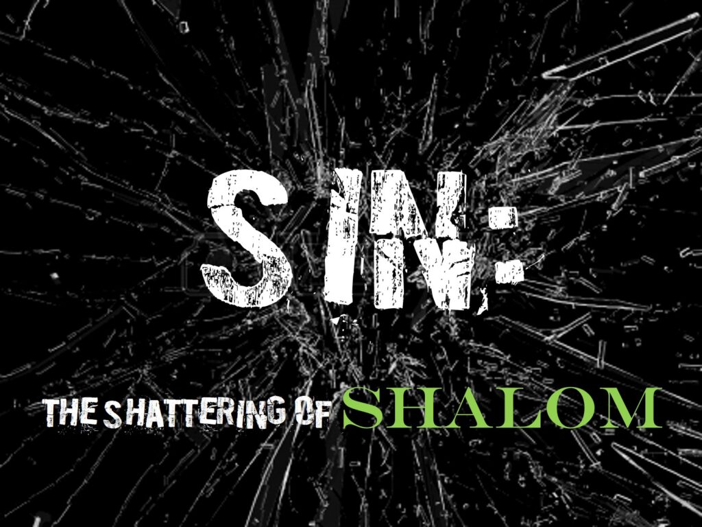 Sin: The Magnification of Grace